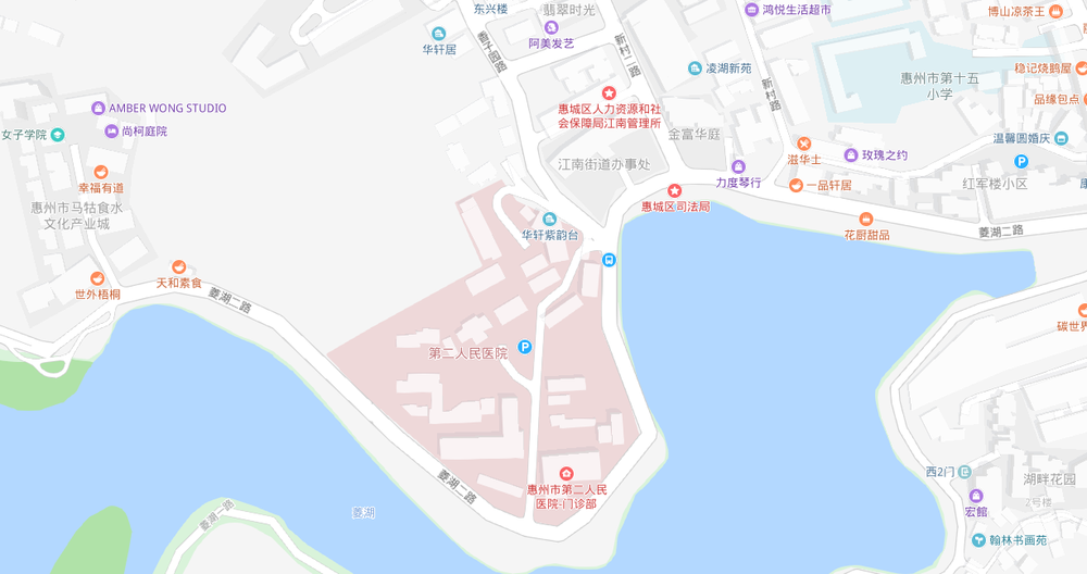 惠州市第二人民医院周边公共交通线路.png